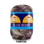 Taj Blue Berry yarn skein, multicolored, TOB1135.