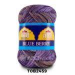 Purple and gold skein of yarn labeled "Blue Berry".