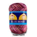 Raj Blueberry hand knitting yarn skein.