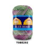 Variegated blueberry-colored knitting yarn skein.