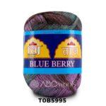Variegated blueberry-colored yarn skein with label.